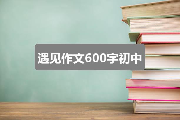作文2004年新奥六🈴彩开:遇见作文600字初中(通用1篇)